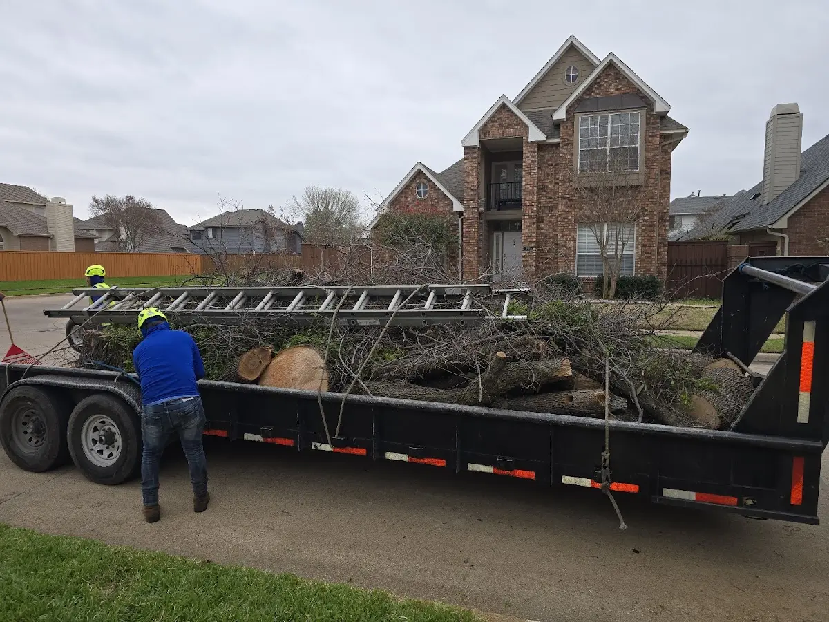 Expert Tree Pest Control with proper safety equipment in Tanana